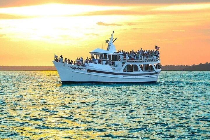 How to Choose the Right Dolphin and Sunset Cruise Destination